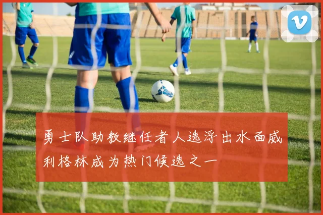 勇士队助教继任者人选浮出水面威利格林成为热门候选之一