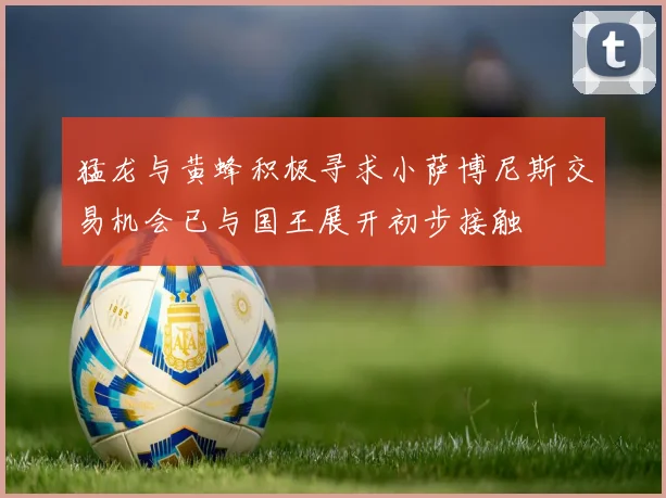 猛龙与黄蜂积极寻求小萨博尼斯交易机会已与国王展开初步接触